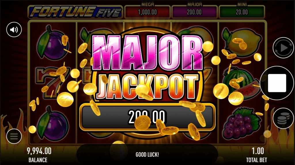 Fortune Five Slot Game