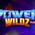 Power Wildz: Fruit Saga Slot Online Review